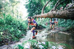 BIB: 
                            <button type="button" onclick="openModal(25434414)" class="btn btn-primary btn-sm float-right btn-popup" data-toggle="modal" data-target=".modal-high-quality">
                        <i class="fas fa-shopping-cart"></i> Add to Cart
                    </button>
                                            <button type="button" onclick="isThisMe(25434414, true)" class="btn btn-success btn-sm float-right btn-popup btn-isme hidden" data-toggle="tooltip" data-placement="bottom" title="นี่คือรูปของคุณใช่ไหม คลิกที่นี่เพื่อเอาเข้าอัลบั้ม">
                        <i class="fas fa-plus"></i> Add to album
                    </button>
                    <button type="button" onclick="isThisMe(25434414, false)" class="btn btn-warning btn-sm float-right btn-popup btn-isnotme hidden">
                        <i class="fas fa-ban"></i> Remove from album
                    </button>